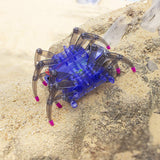 DIY Spider robot building kit development made easy for kids