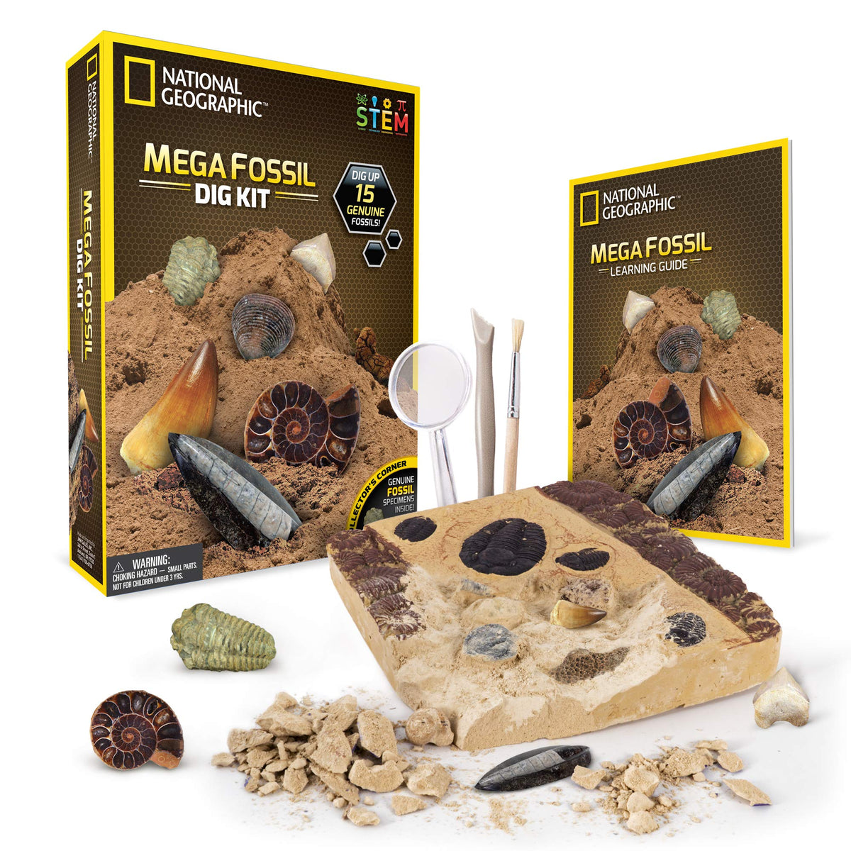 NATIONAL GEOGRAPHIC Mega Fossil Dig Kit – Excavate 15 real