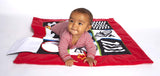 Play Mat to imrove pattern recognition in kids