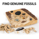NATIONAL GEOGRAPHIC Mega Fossil Dig Kit – Excavate 15 real fossils including Dinosaur Bones, Mosasaur & Shark Teeth
